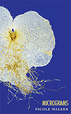 walker_fullcov1l.indd