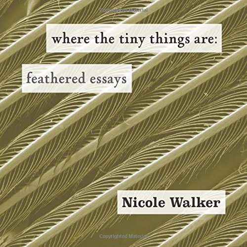 where the tiny things are cover